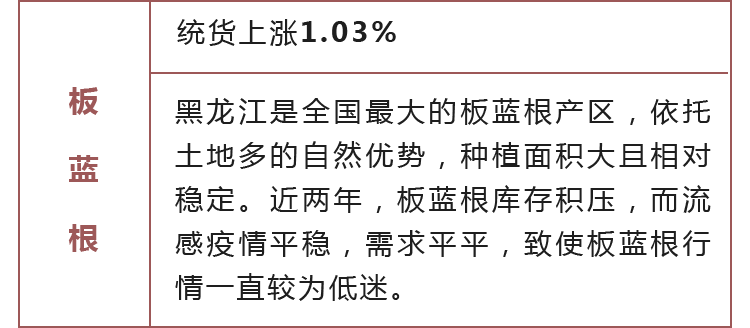 热门品种