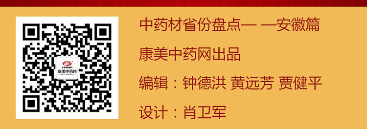 中药材省份盘点--安徽篇