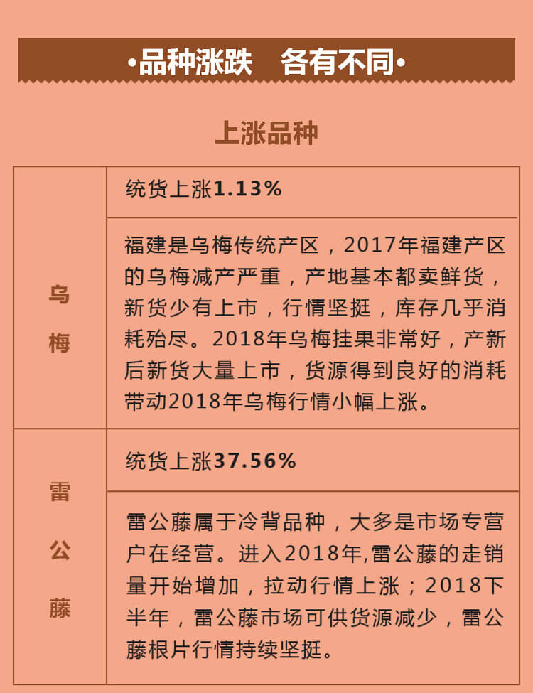 中药材省份盘点--福建篇