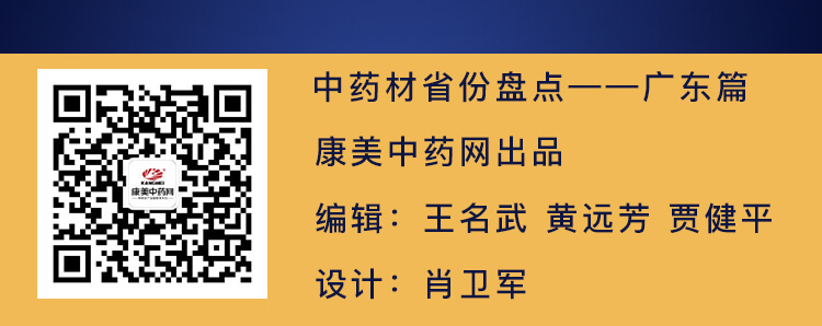 中药材省份盘点--广东篇