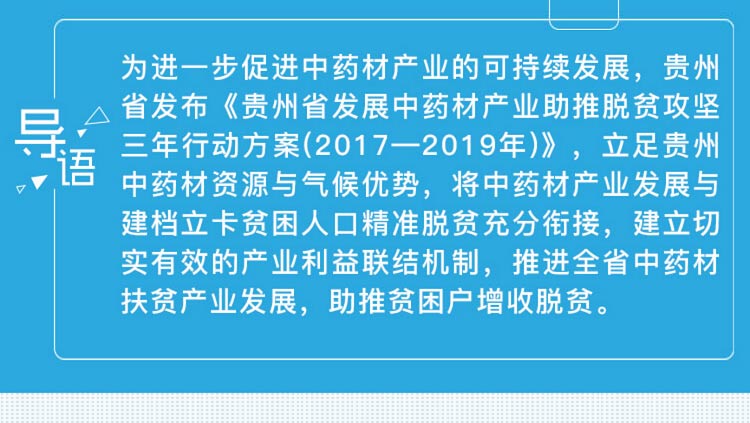 中药材省份盘点--贵州篇