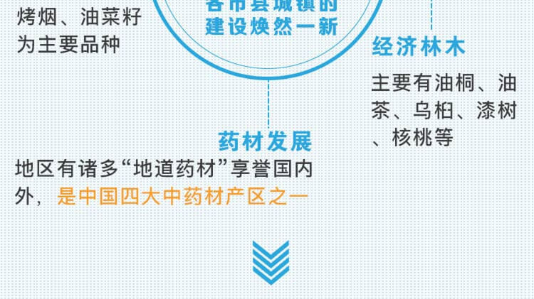 中药材省份盘点--贵州篇