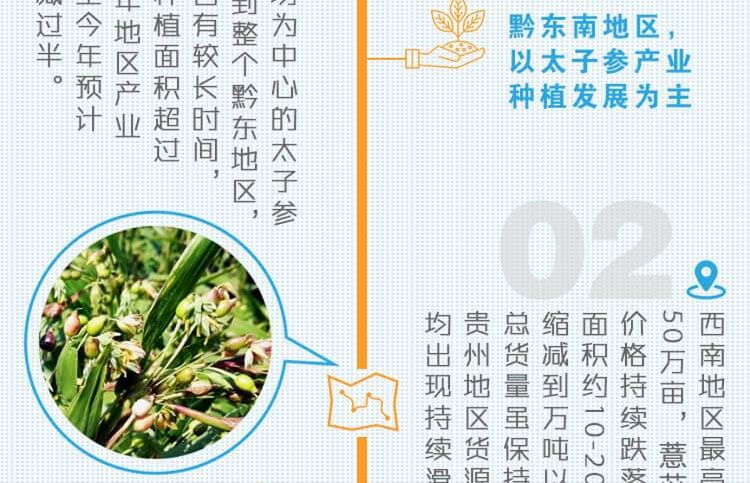 中药材省份盘点--贵州篇