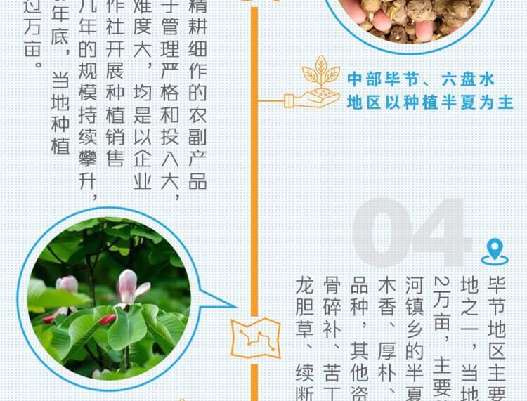 中药材省份盘点--贵州篇