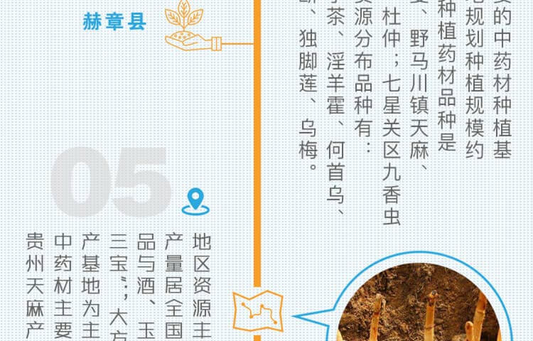 中药材省份盘点--贵州篇