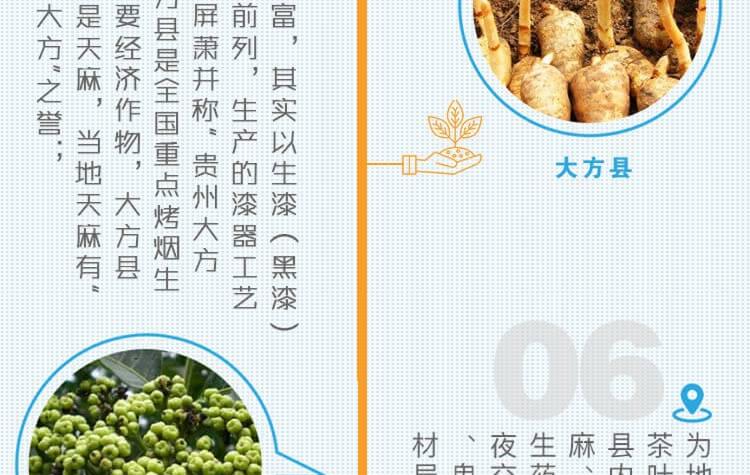 中药材省份盘点--贵州篇