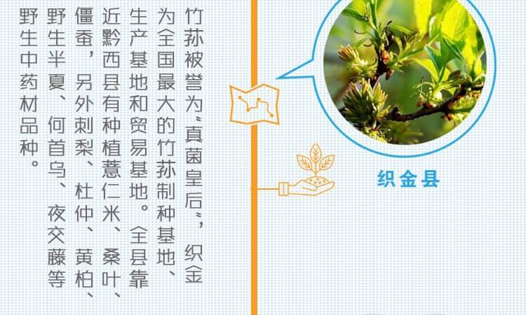 中药材省份盘点--贵州篇