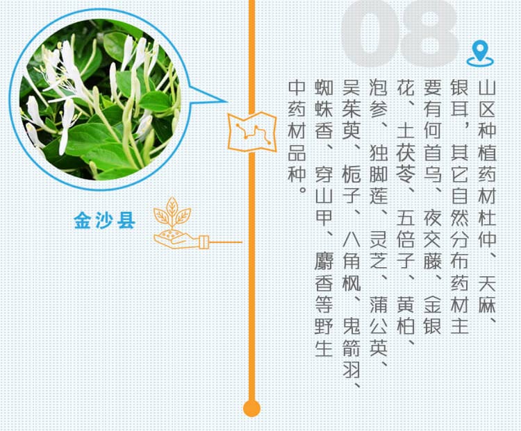 中药材省份盘点--贵州篇