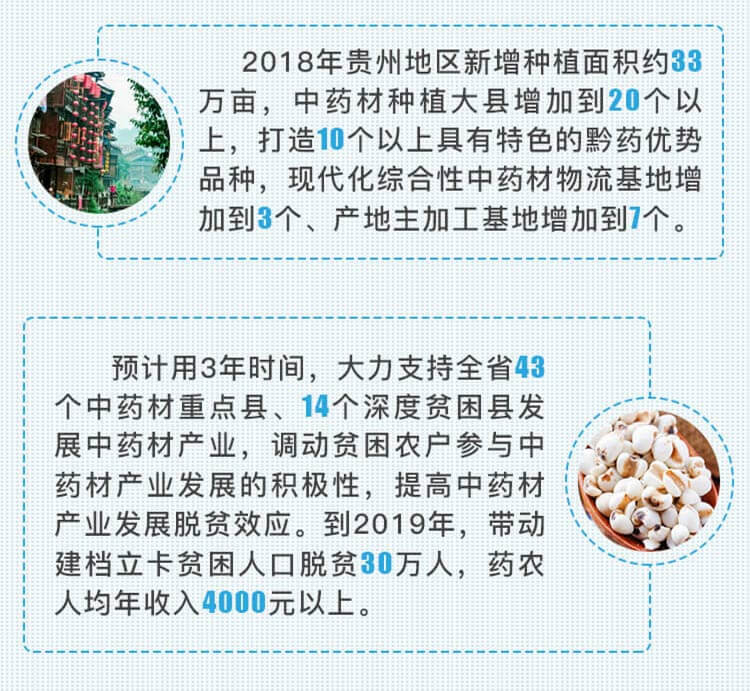 中药材省份盘点--贵州篇