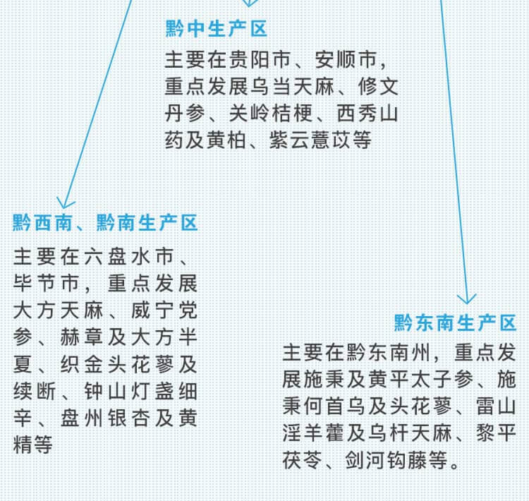 中药材省份盘点--贵州篇