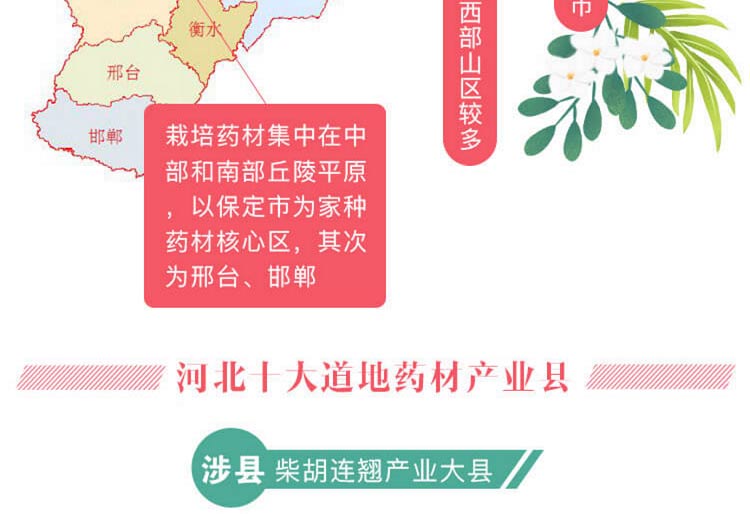 中药材省份盘点--河北篇