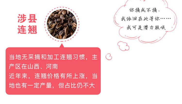 中药材省份盘点--河北篇