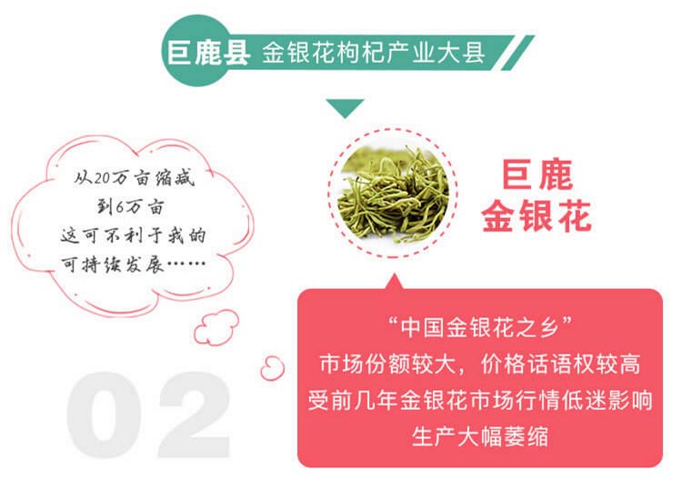 中药材省份盘点--河北篇