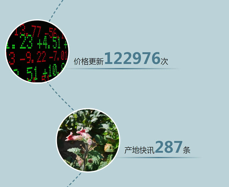 中药材省份盘点--河南篇