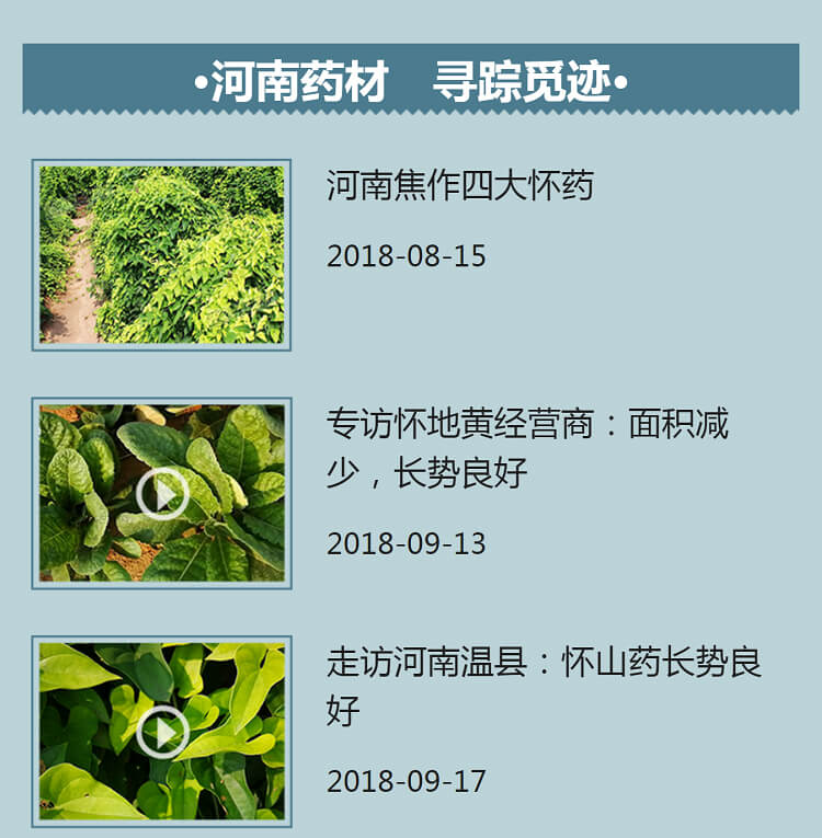 中药材省份盘点--河南篇