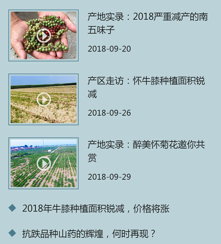 中药材省份盘点--河南篇