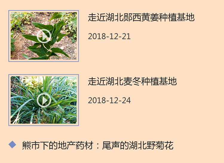 中药材省份盘点--湖北篇