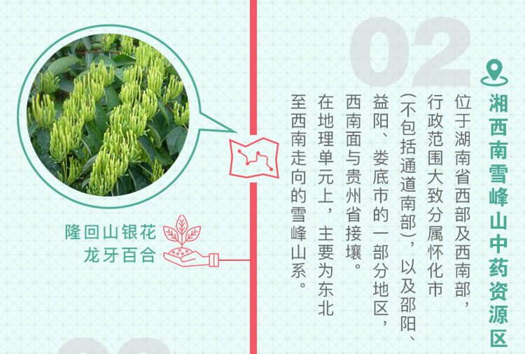 中药材省份盘点--湖南篇