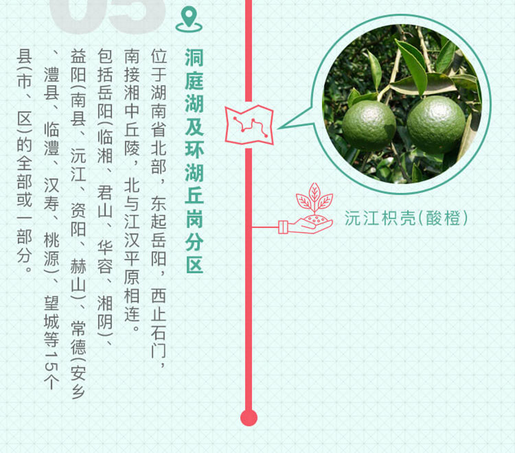 中药材省份盘点--湖南篇