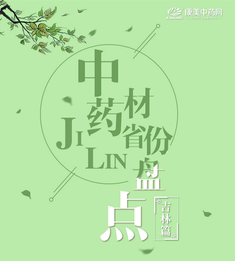 中药材省份盘点--吉林篇