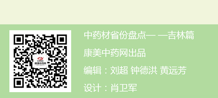 中药材省份盘点--吉林篇