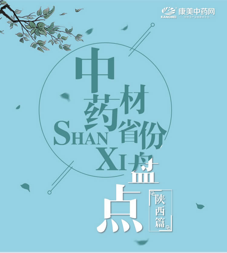 中药材省份盘点--陕西篇