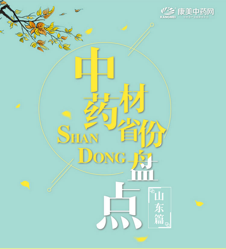 中药材省份盘点--山东篇