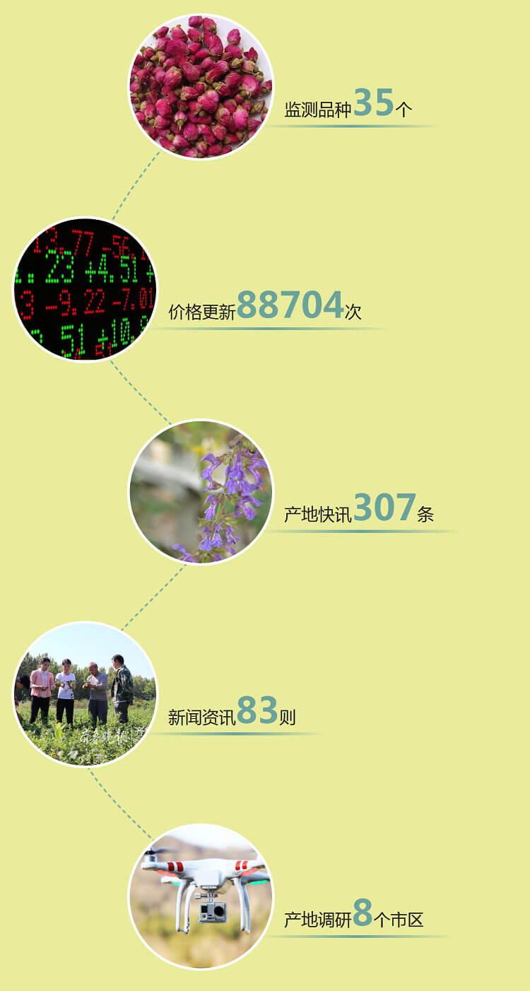 中药材省份盘点--山东篇