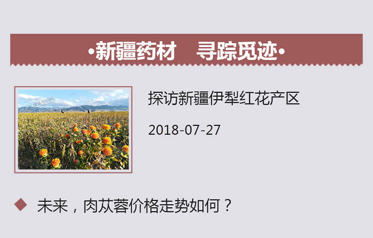 中药材省份盘点--新疆篇